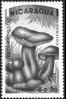 Nikaragva/Nicaragua