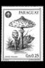 Paragvaj/Paraguay