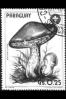 Paragvaj/Paraguay