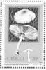 Ciskei