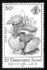 Sejeli/Zil Elwannyen Sesel/Seychelles