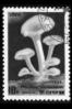 Severna Koreja/North Korea