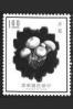 Tajvan/Taiwan
