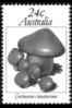 Avsralija/Australia
